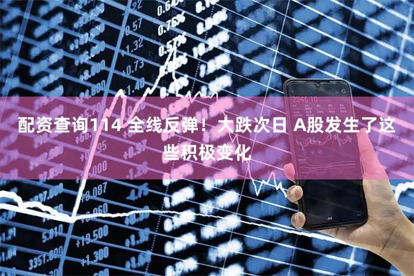 配资查询114 全线反弹！大跌次日 A股发生了这些积极变化