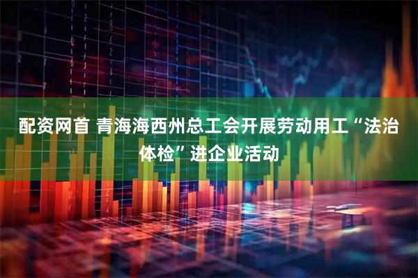 配资网首 青海海西州总工会开展劳动用工“法治体检”进企业活动